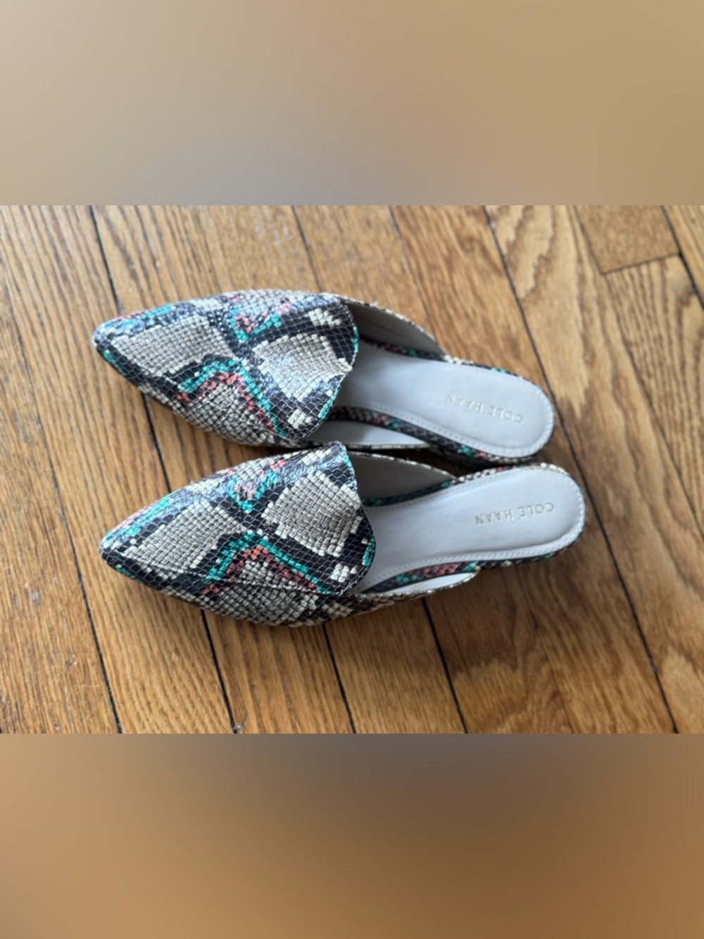 Cole Haan Women's Pointed Mule in Snake Print - Size 6.5